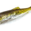 Molix Gomma BULK RT SHAD 7''