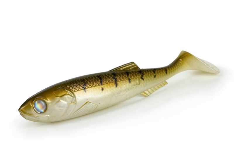 Molix Gomma BULK RT SHAD 7''