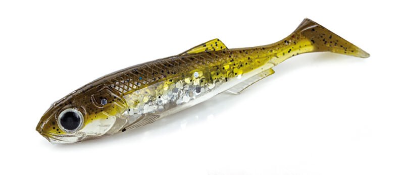 Molix Gomma BULK RT SHAD 9''
