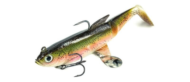 Molix Gomme SHAD 100 24gr