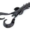 Molix Gomme FREAKY CRAW 5.5'' 4pz