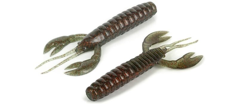 Molix Gomme CALEO CRAW 8pz