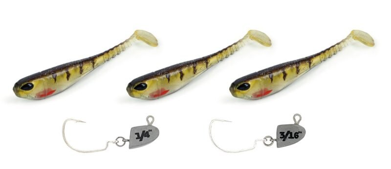 Molix Gomme SS SHAD 4''