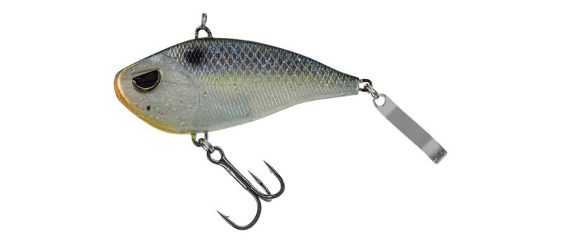 1350 Molix Gomme SOFT LIPLESS VIB 55