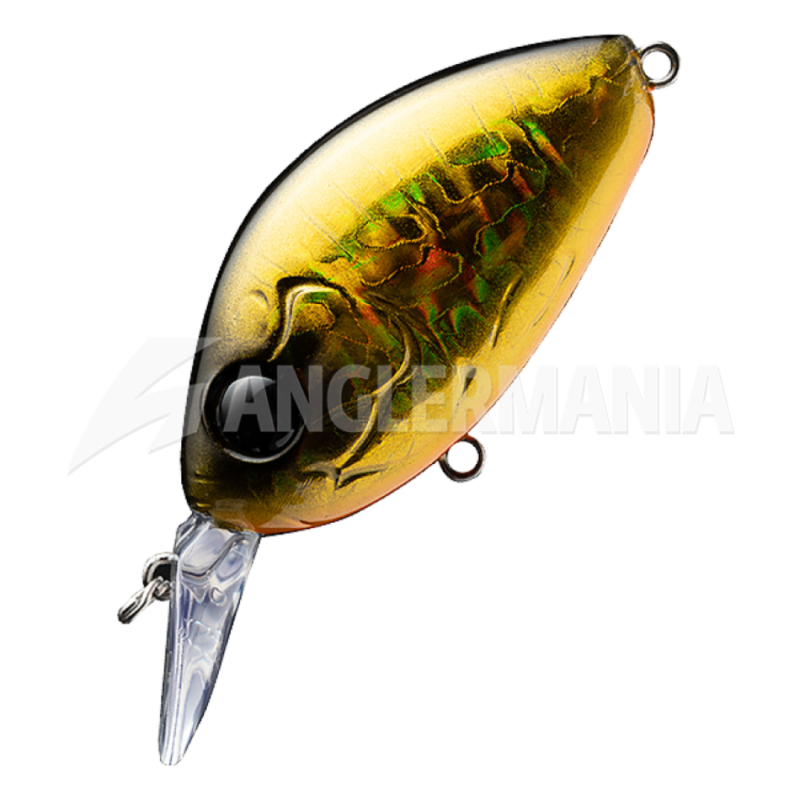 2008 Damiki Artificiale DC 100