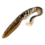 Gator Gomma CATFISH 25cm