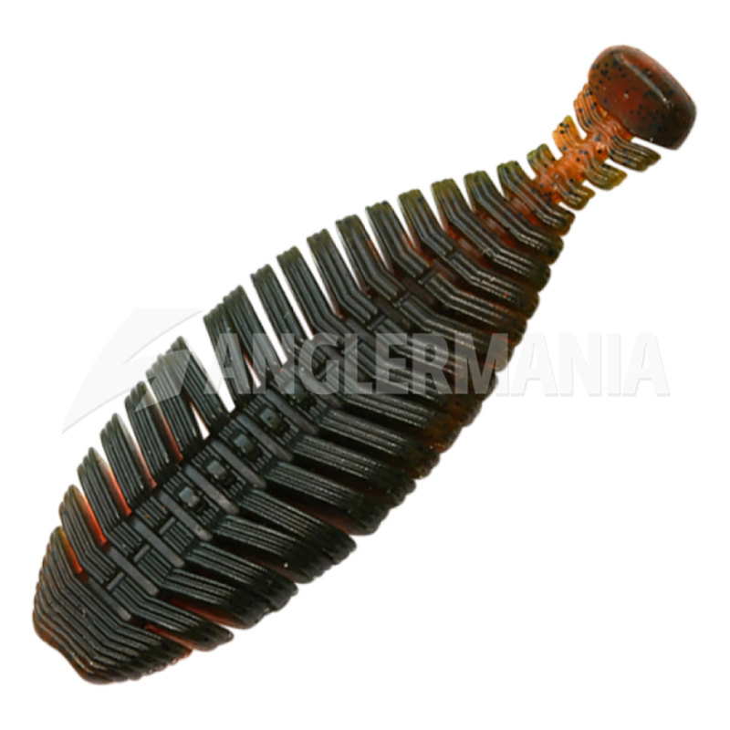 Raid Gomma HIRA TAILOR 3.7''