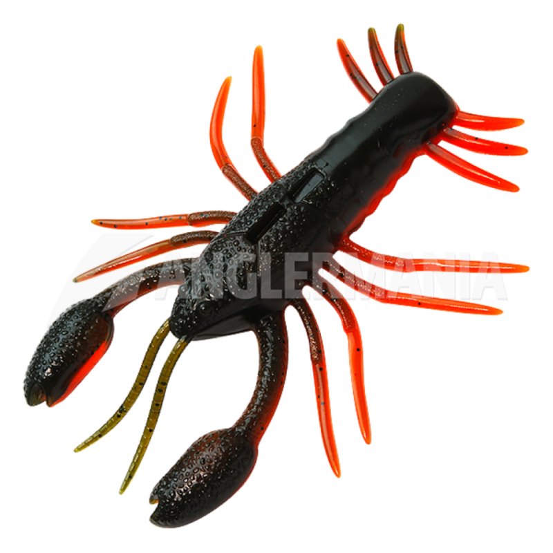 Raid Gomma ZARIGANIST JR