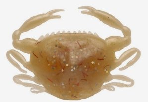 Berkley GULP SALTWATER PEELER CRAB 5cm