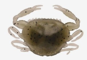 3961 Berkley GULP SALTWATER PEELER CRAB 5cm