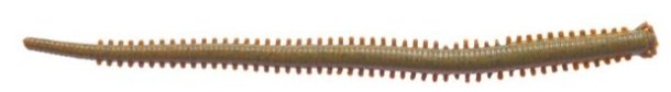 Berkley GULP SALTWATER ISOME FUTOMI 10cm