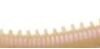 Berkley GULP SALTWATER ISOME FUTOMI 10cm