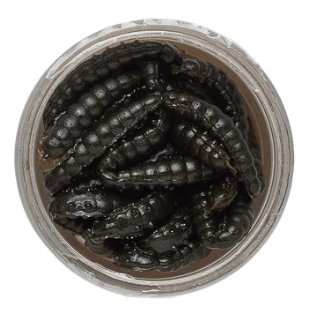 3990 Berkley Powerbait Power Honey Worm 2.5cm