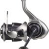 Daiwa Mulinello 25 CALDIA FC LT