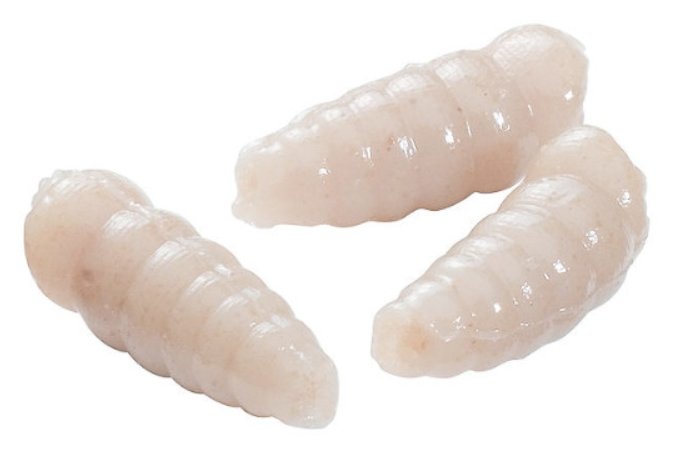 Berkley POWERBAIT MAGGOT