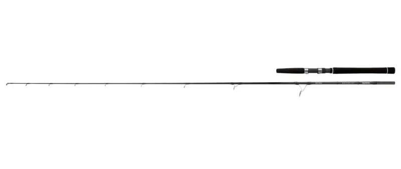 Daiwa Canna SALTIS INSHORE