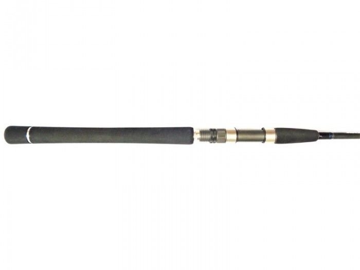 Daiwa Canna SALTIS INSHORE