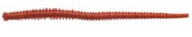 Berkley GULP SALTWATER ISOME FUTOMI 10cm