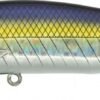 Rapture Artificiale Pro Onebait Jerk 80SF