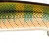 Rapture Artificiale Pro Onebait SR 100mm 9.8gr