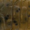 Rapture Gomma ULG BABY CRAY 40mm 1gr