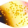 Rapture Area Spoon Xonar 1.6 gr