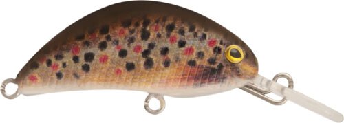 Rapture Pro Hot Bean 40mm 3.5gr