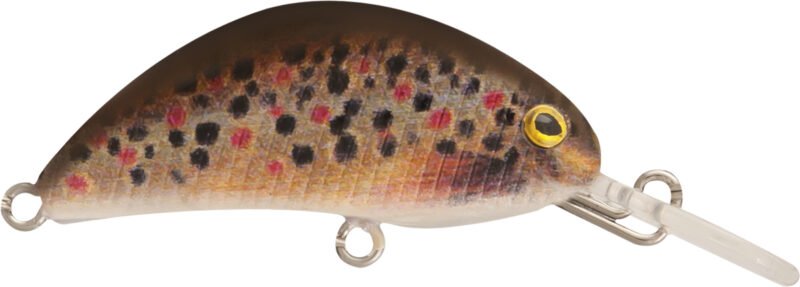 Rapture Pro Hot Bean 40mm 3.5gr