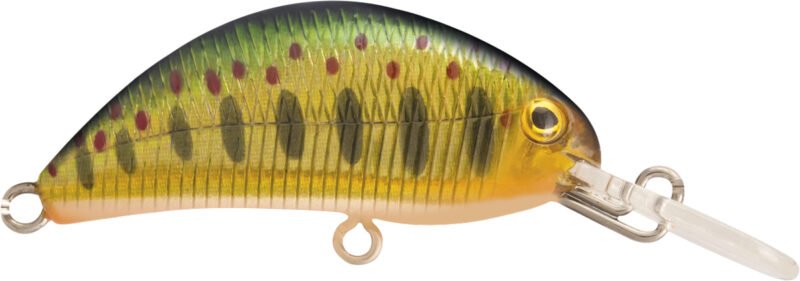 Rapture Pro Hot Bean 40mm 3.5gr