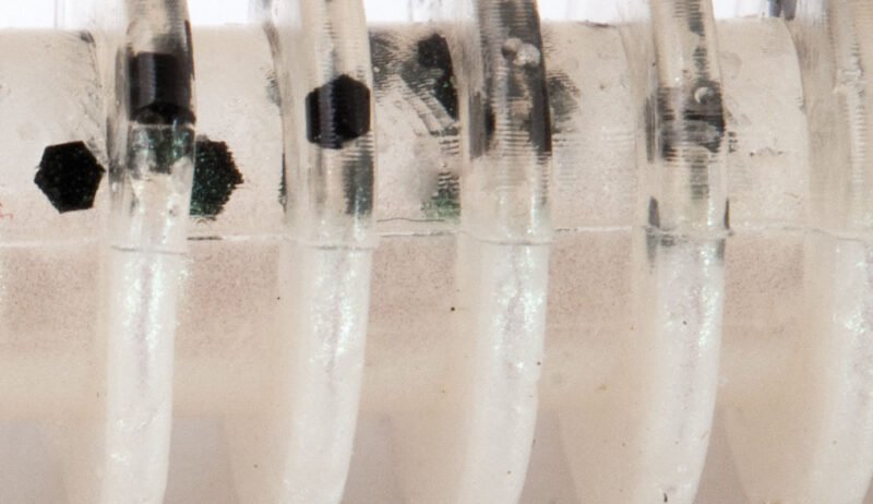 854 Rapture Tail Worm TEXAS CRAW 10.5cm