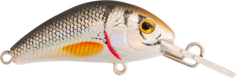 875 Rapture Pro Evoque 40mm 3.5gr