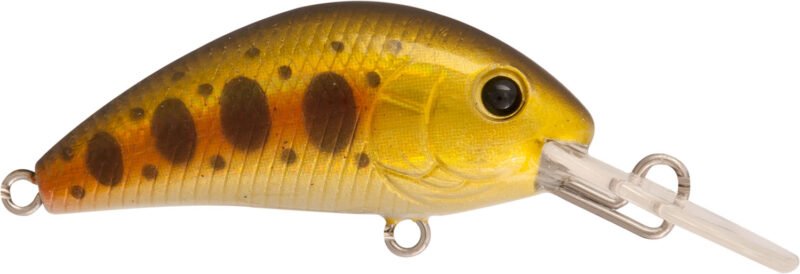 876 Rapture Pro Evoque 40mm 3.5gr