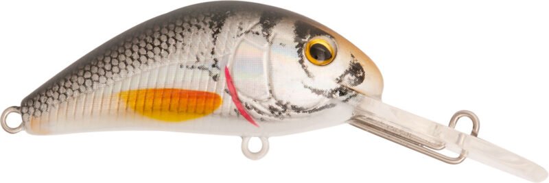 881 Rapture Pro Evoque Dr 50mm 8.2gr