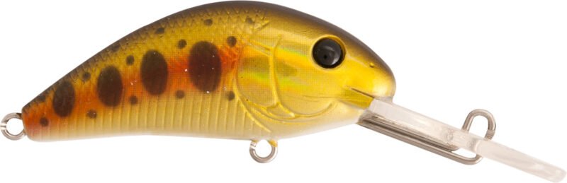 882 Rapture Pro Evoque Dr 50mm 8.2gr