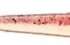 Berkley POWERBAIT MINNOW 8cm