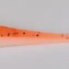 4544 Righetti Bait System HAD V TAIL 6cm