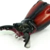 Molix Artificiale Supernato Beetle 7.5cm 17g