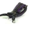 Molix Artificiale Supernato Beetle 7.5cm 17g