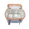 Colmic Borsa Cooler Boston 100
