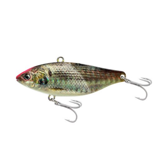 Little Jack More Keen 02- 28Gr