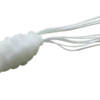 Nories Tanny Frog Popper 2''
