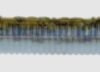 Nories Latterie 5-1/4''