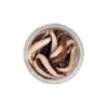 Berkley Powerbait Power Honey Worm 2.5cm